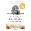 One Média K. T. Zelenay: Elveszett tekercsek nyomában
