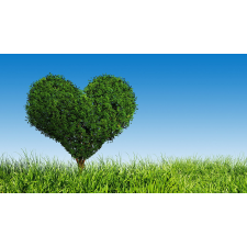  Öntapadó és mosható falfestmény Az élet fája, 300 x 200 cm tapéta, díszléc és más dekoráció