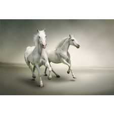  Öntapadó és mosható falfestmény Fehér vágtató lovak, 350 x 200 cm tapéta, díszléc és más dekoráció