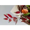  Öntapadó és mosható falfestmény Flori160 Tulipán és leucadendron csokor, 150 x 205 cm