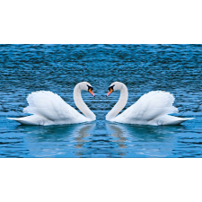  Öntapadó és mosható falfestmény Hattyúk a tavon, 300 x 200 cm tapéta, díszléc és más dekoráció