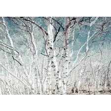  Öntapadó és mosható falfestmény Nyírerdő, 250 x 150 cm tapéta, díszléc és más dekoráció