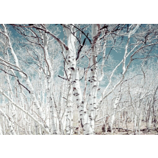  Öntapadó és mosható falfestmény Nyírerdő, 250 x 200 cm tapéta, díszléc és más dekoráció