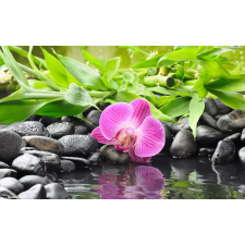  Öntapadó és mosható falfestmény Orchidea bambusszal, 250 x 200 cm tapéta, díszléc és más dekoráció