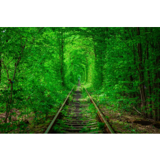  Öntapadó és mosható falfestmény Padure10, 300 x 200 cm tapéta, díszléc és más dekoráció