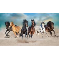  Öntapadó és mosható falfestmény Porviharban vágtató lovak, 350 x 250 cm tapéta, díszléc és más dekoráció