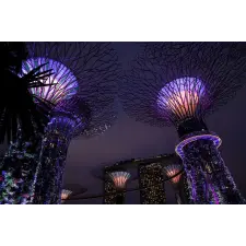  Öntapadó és mosható falfestmény Singapore Park 2, 400 x 250 cm tapéta, díszléc és más dekoráció