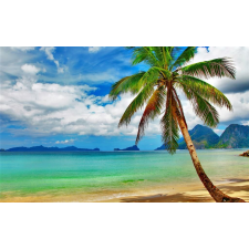  Öntapadó és mosható falfestmény Strand pálmafával, 300 x 200 cm tapéta, díszléc és más dekoráció