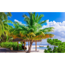  Öntapadó és mosható falfestmény Summer Beach Vacation, 250 x 150 cm tapéta, díszléc és más dekoráció