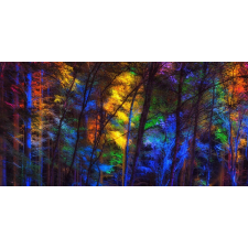  Öntapadó és mosható falfestmény Szivárvány az erdőben, 300 x 200 cm tapéta, díszléc és más dekoráció