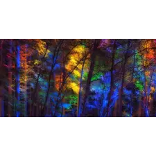 Öntapadó és mosható falfestmény Szivárvány az erdőben, 400 x 250 cm tapéta, díszléc és más dekoráció