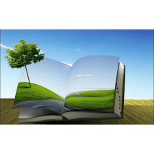  Öntapadó és mosható falfestmény Természet könyve, 300 x 200 cm tapéta, díszléc és más dekoráció