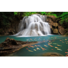  Öntapadó és mosható falfestmény Vízesés halakkal, 400 x 250 cm tapéta, díszléc és más dekoráció