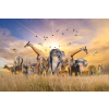  Öntapadó és mosható fali tapéta Állatok az afrikai szavannáról, 350 x 200 cm