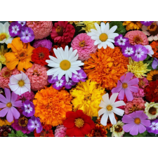  Öntapadó és mosható fali tapéta Flori57, 200 x 150 cm tapéta, díszléc és más dekoráció