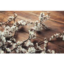  Öntapadó és mosható fali tapéta Flori90, 250 x 150 cm tapéta, díszléc és más dekoráció