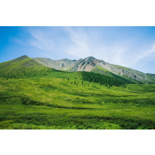  Öntapadó és mosható fali tapéta Natura108, 250 x 150 cm tapéta, díszléc és más dekoráció