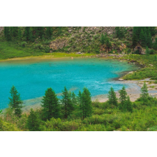  Öntapadó és mosható fali tapéta Natura113, 350 x 250 cm tapéta, díszléc és más dekoráció