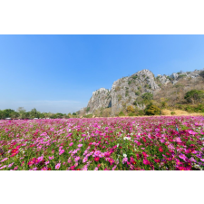  Öntapadó és mosható fali tapéta Natura114, 250 x 150 cm tapéta, díszléc és más dekoráció