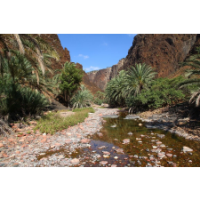  Öntapadó és mosható fali tapéta Natura124, 300 x 200 cm tapéta, díszléc és más dekoráció