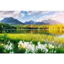  Öntapadó és mosható fali tapéta Natura137, 300 x 200 cm tapéta, díszléc és más dekoráció