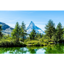  Öntapadó és mosható fali tapéta Natura146, 250 x 150 cm tapéta, díszléc és más dekoráció