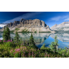  Öntapadó és mosható fali tapéta Natura43, 350 x 250 cm tapéta, díszléc és más dekoráció