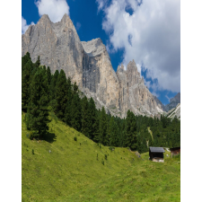  Öntapadó és mosható fali tapéta Natura47, 150 x 205 cm tapéta, díszléc és más dekoráció