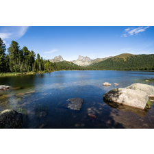  Öntapadó és mosható fali tapéta Natura81, 250 x 150 cm tapéta, díszléc és más dekoráció