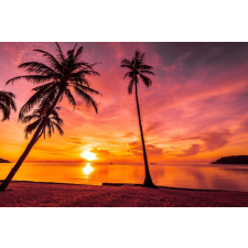  Öntapadó és mosható fali tapéta Palmieri26, 350 x 250 cm tapéta, díszléc és más dekoráció