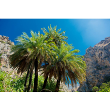  Öntapadó és mosható fali tapéta Palmieri30, 250 x 150 cm tapéta, díszléc és más dekoráció