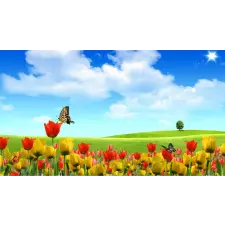  Öntapadó és mosható fali tapéta Pillangók és tulipánok, 350 x 250 cm tapéta, díszléc és más dekoráció