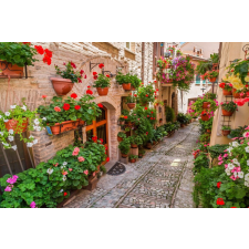  Öntapadó és mosható falikép Street virággal, 300 x 200 cm tapéta, díszléc és más dekoráció