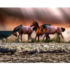  Öntapadós tapéta Barna vágtató lovak, 300 x 200 cm tapéta, díszléc és más dekoráció