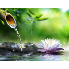  Öntapadós tapéta Bazalt kövek, tavirózsa, bambusz, zen, 200 x 150 cm tapéta, díszléc és más dekoráció