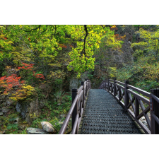 Öntapadós tapéta Híd a természetbe, 300 x 250 cm tapéta, díszléc és más dekoráció