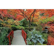 Öntapadós tapéta Japán kert 3, 300 x 200 cm tapéta, díszléc és más dekoráció