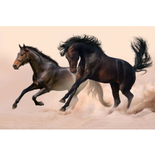  Öntapadós tapéta Két fekete ló, galopp, 200 x 150 cm tapéta, díszléc és más dekoráció