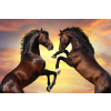  Öntapadós tapéta Két ló, mének, naplemente, 200 x 150 cm
