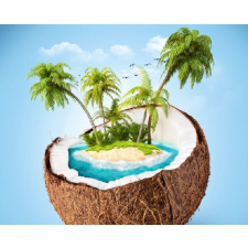  Öntapadós tapéta Kókuszsziget, 300 x 250 cm tapéta, díszléc és más dekoráció
