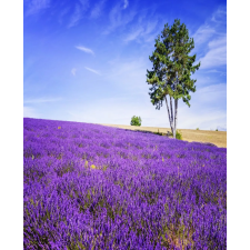  Öntapadós tapéta Lavender6, 150 x 205 cm tapéta, díszléc és más dekoráció