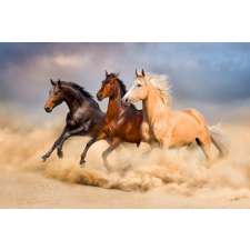  Öntapadós tapéta, Lovak, vágta, homok, 270 x 200 cm tapéta, díszléc és más dekoráció
