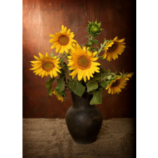  Öntapadós tapéta Napraforgó csokor, 150 x 205 cm tapéta, díszléc és más dekoráció