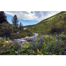 Öntapadós tapéta Natura103, 250 x 200 cm tapéta, díszléc és más dekoráció