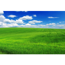  Öntapadós tapéta Natura105, 250 x 200 cm tapéta, díszléc és más dekoráció