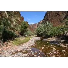  Öntapadós tapéta Natura124, 200 x 150 cm tapéta, díszléc és más dekoráció