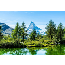  Öntapadós tapéta Natura146, 350 x 250 cm tapéta, díszléc és más dekoráció