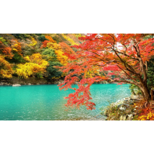  Öntapadós tapéta Natura151 Ősz a tavon, 250 x 200 cm tapéta, díszléc és más dekoráció