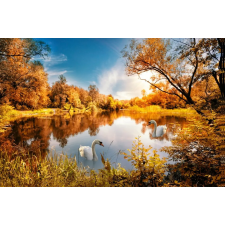  Öntapadós tapéta Natura169 Réz ősz hattyúkkal a tavon, 250 x 150 cm tapéta, díszléc és más dekoráció