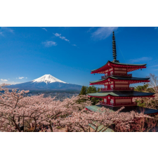  Öntapadós tapéta Natura45, 350 x 200 cm tapéta, díszléc és más dekoráció